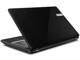 EasyNote E3110