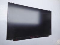 Lenovo ThinkPad E580 B156HAN02.1 15,6 Display matt 30Pol....