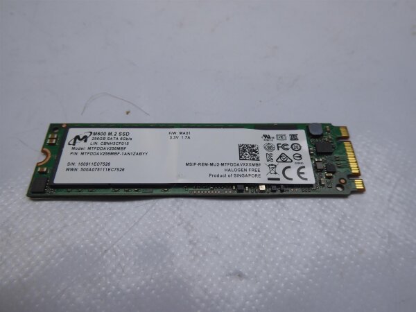 ASUS UX305C M.2 256GB SSD HDD Festplatte #4658