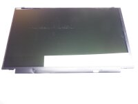 Lenovo G50-80 15,6 Display Panel glänzend glossy 30...