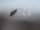 Microsoft Surface Pro 4 1724 Schraubensatz Screws Set #4754