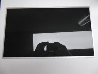 Sony Vaio PCG-91211M 17,3 Display Panel glänzend...