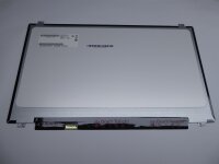 Lenovo V320-17IKB 17,3 Display Panel matt 1600 x 900 30 Pol L