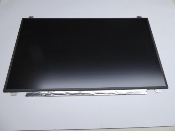 Acer Preadator Helios 300 17,3 Display Panel matt FHD 1920 x 1080 30 Pol L