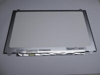 Acer Preadator Helios 300 17,3 Display Panel matt FHD 1920 x 1080 30 Pol L