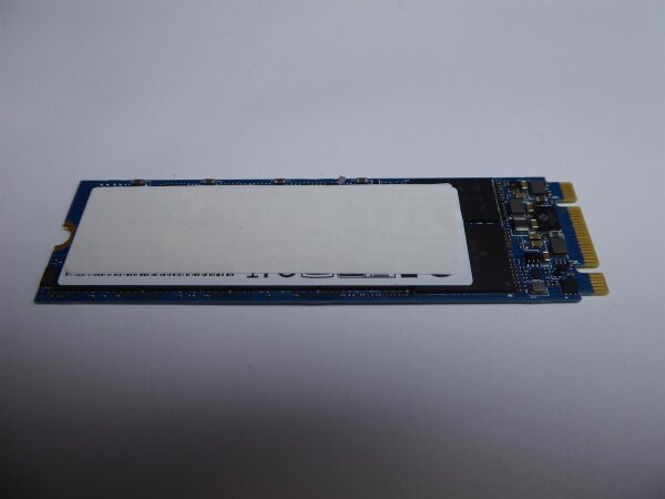 MSI GL72 6QD 256GB SSD M.2 SATA HDD Festplatte
