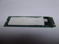 Lenovo ThinkPad E570 256GB M.2 NVMe SSD HDD Festplatte