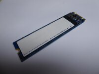 MSI GT72 2QE 256GB SSD M.2 SATA HDD Festplatte