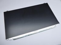 Medion Akoya E6421 15,6 Display Panel matt 1366 x 768 30 Pol R