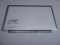 Medion Akoya E6421 15,6 Display Panel matt 1366 x 768 30 Pol R