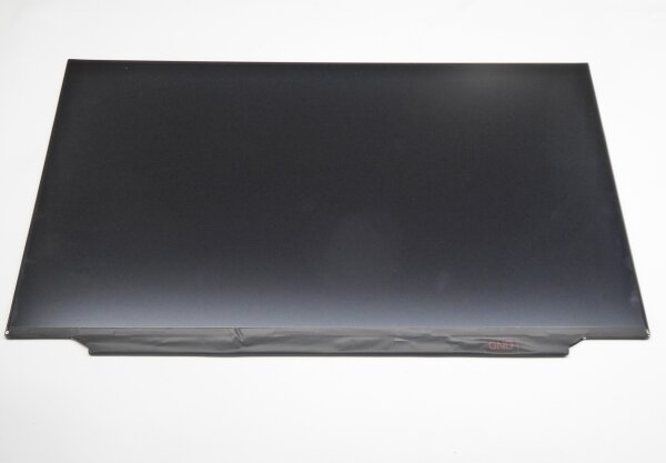 Au Optronics B173HAN04.2 17,3 Display matt 30Pol R