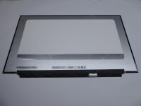 Au Optronics B173HAN04.2 17,3 Display matt 30Pol R