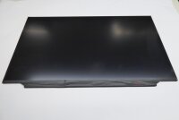 Au Optronics B173HAN04.2 17,3 Display matt 30Pol R