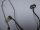 MSI GV62 8RD Videokabel Displaykabel K1N-3040095-H39 #4852