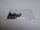 HP Pavilion X2 Schraubensatz Screws Set  #4375
