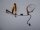 Lenovo ThinkPad T14s  Gen. 1 Webcam Kamera Kabel DC02C00EG00 #4915