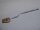 Toshiba Satellite C55-C Powerbutton Board mit Kabel DA0BLQPB6E0 #4935