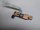HP ENVY 17 J  Serie Powerbutton Board mit Kabel 6050A2549201 #4938