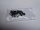Asus VivoBook E403N Schraubensatz Screws Set #4232
