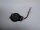 Lenovo IdeaPad 5 15IIL05 Cmos Bios Batterie mit Kabel #4953