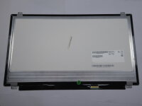 Clevo P65SG 15,6 FHD Display Panel matt 1920 x 1080 30...