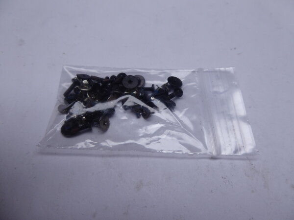 Lenovo ThinkPad E570 Schraubensatz Screws Set #4832