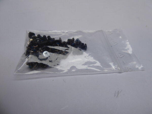 Lenovo IdeaPad Flex 15 20309 Schraubensatz Screws Set #5022