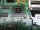 Lenovo Thinkpad T540p Mainboard Nvidia GeForce GT 730M Grafik 04X5264  #3666