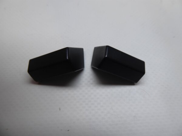 Clevo PC70DD2 Scharnier Abdeckungen Hinges L + R #5058