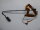 Lenovo ThinkPad L14 Gen. 2 Videokabel Displaykabel DC02C00JT00 #4983
