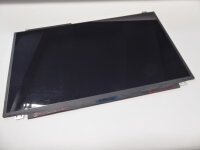 Au Optronics B156HAN03.0 15,6 Display glänzend 1920...