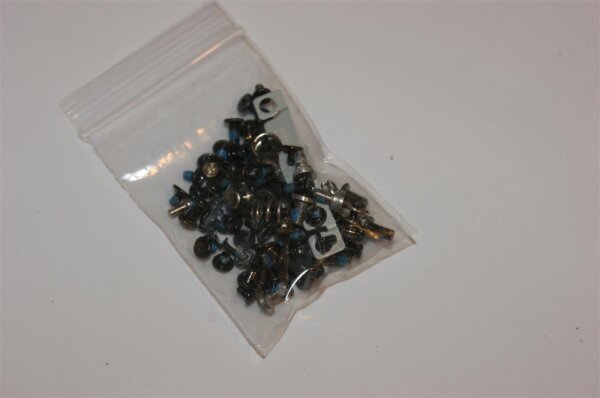 Dell Latitude E6330 P195 Schraubensatz Screws Set #2774