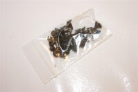 Lenovo G560 Schraubensatz Screws Set  #2318