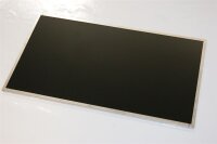 Acer Aspire 5542G 15,6 Display Panel glossy glänzend B156XW02 #2819