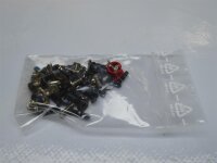 Lenovo Thinkpad T540 T540p Schraubensatz Screws Set #3666