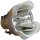 Philips UHP 330/270W 1.3   E21.9   Bulb / Beamer Lampe    #9100
