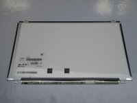 Medion Akoya E6240T LCD Display matt 15,6 LP156WH3...