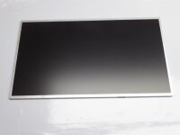 Dell Vostro 3550 15,6 Display Panel matt L156WH4 #2942