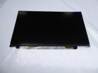 Sony Vaio PCG-41314M 13,1 Display Panel glossy glänzend B131RW02   #4184