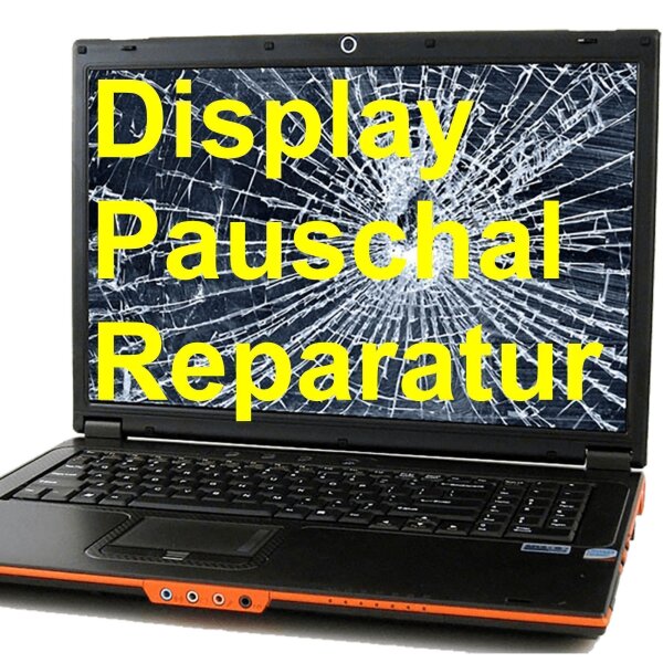 Asus D550C - Display-Tausch komplette Reparatur incl. Display-Panel