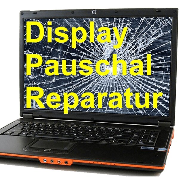 Medion Akoya P6612 - Display-Tausch komplette Reparatur incl. Display-Panel