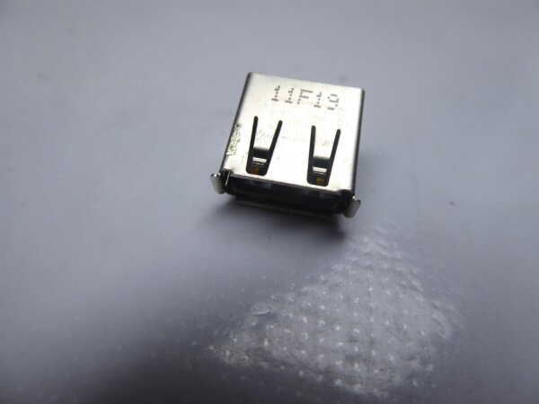 MSI GT780DX 2.0 USB Buchse #3775