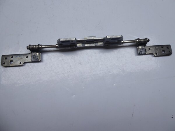 Alienware M15x P08G Displayscharnier Hinges  #3492