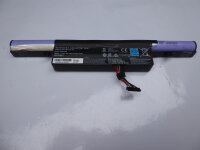 Gigabyte P55 Original Akku Batterie GNS-260 961T2010F #4398
